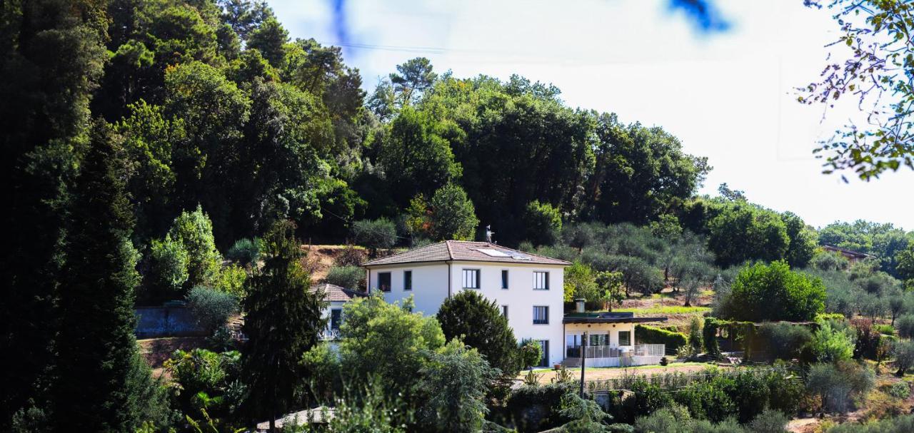 Agriturismo Terra Volonteri Montecatini Terme Dış mekan fotoğraf