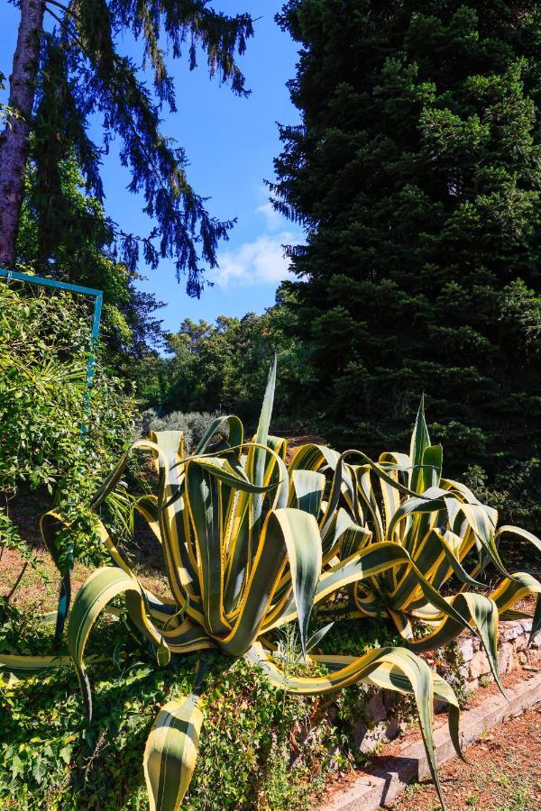 Agriturismo Terra Volonteri Montecatini Terme Dış mekan fotoğraf