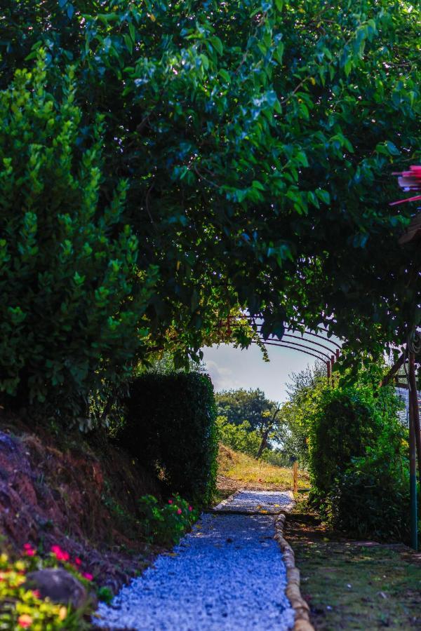 Agriturismo Terra Volonteri Montecatini Terme Dış mekan fotoğraf