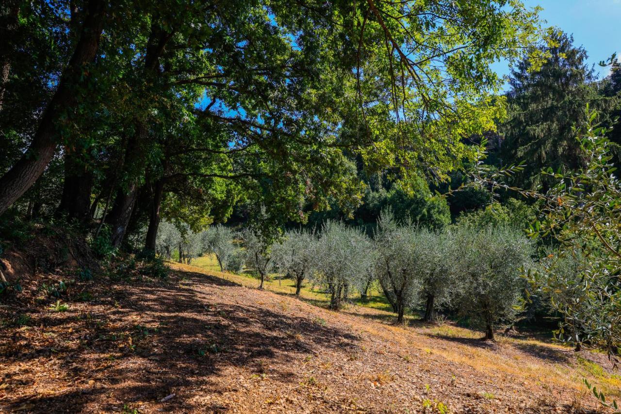 Agriturismo Terra Volonteri Montecatini Terme Dış mekan fotoğraf