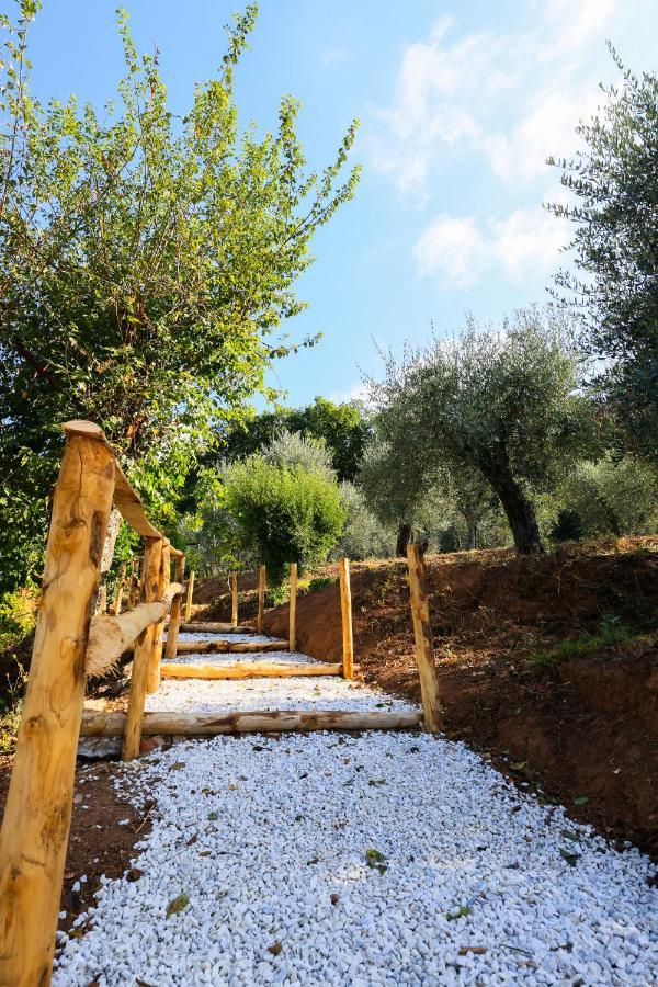 Agriturismo Terra Volonteri Montecatini Terme Dış mekan fotoğraf