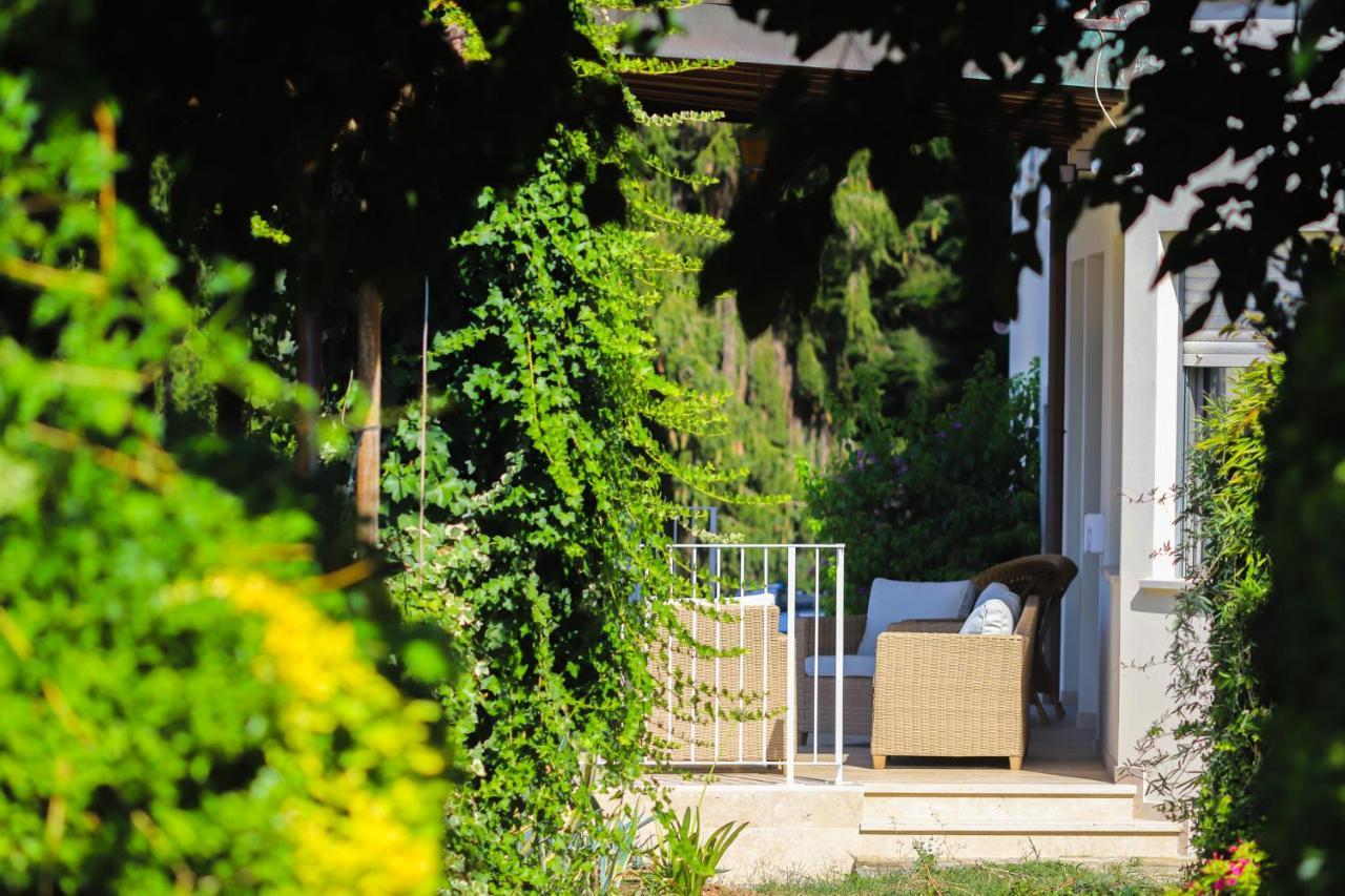 Agriturismo Terra Volonteri Montecatini Terme Dış mekan fotoğraf
