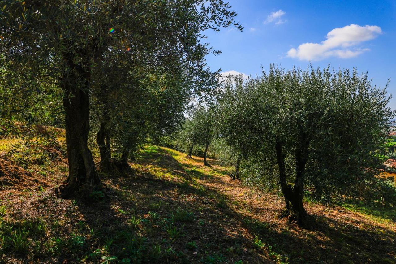 Agriturismo Terra Volonteri Montecatini Terme Dış mekan fotoğraf